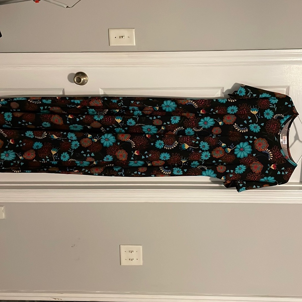 LuLaRoe Sizes L-2XL. Asking $20 each or all 9 for $120. Flat rate shipping.